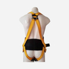 Safety Harness